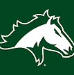 Harrison High School Football