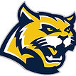 Harrison High School Football